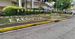 Lot for Sale in Greenview Executive Village, Quezon City