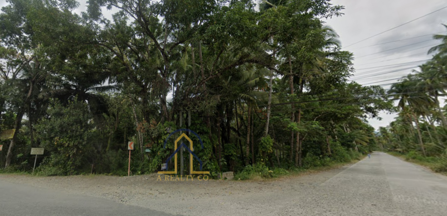 Corner Lot for Sale in Cabadbaran City, Agusan Del Norte