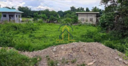 Residential Lot for Sale in Bagong Flores, Lupao, Nueva Ecija