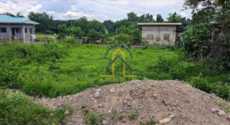 Residential Lot for Sale in Bagong Flores, Lupao, Nueva Ecija