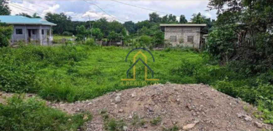 Residential Lot for Sale in Bagong Flores, Lupao, Nueva Ecija