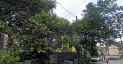 Lot for Sale in North Fairview Subdivision, Quezon City