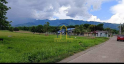 Residential Lot for Sale in Bagong Flores, Lupao, Nueva Ecija