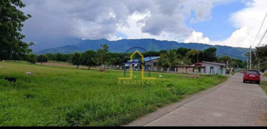 Residential Lot for Sale in Bagong Flores, Lupao, Nueva Ecija