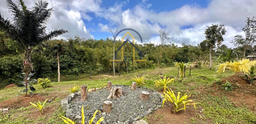 Farm and Resort Lot for Sale in Caliraya, Cavinti, Laguna