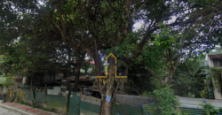 Lot for Sale in North Fairview Subdivision, Quezon City