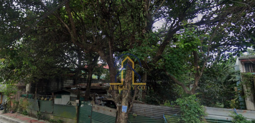 Lot for Sale in North Fairview Subdivision, Quezon City