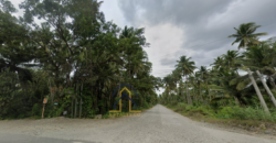 Corner Lot for Sale in Cabadbaran City, Agusan Del Norte