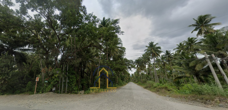 Corner Lot for Sale in Cabadbaran City, Agusan Del Norte