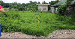 Residential Lot for Sale in Bagong Flores, Lupao, Nueva Ecija