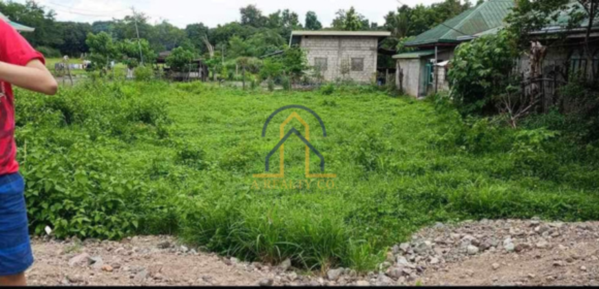 Residential Lot for Sale in Bagong Flores, Lupao, Nueva Ecija