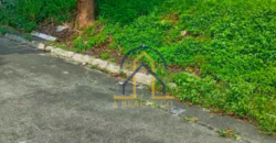 Lot for Sale in Filinvest 2 Mountain View, Quezon City