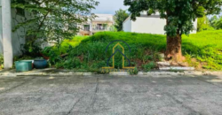 Lot for Sale in Filinvest 2 Mountain View, Quezon City