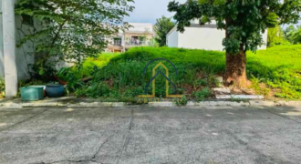 Lot for Sale in Filinvest 2 Mountain View, Quezon City