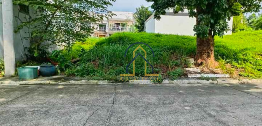 Lot for Sale in Filinvest 2 Mountain View, Quezon City