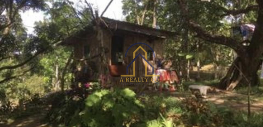 Farm Lot for Sale in Tanay, Rizal