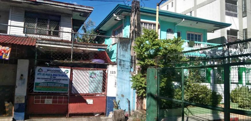 Residential/Commercial Property with Old House For Sale in Parañaque City