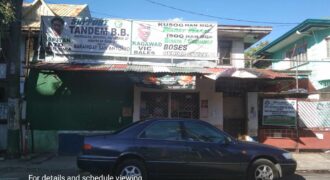 Residential/Commercial Property with Old House For Sale in Parañaque City
