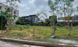 Vacant Lots for Sale in Greenview Executive Village, Quezon City