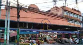 Lot for sale + Commercial Market in Novaliches, Quezon City