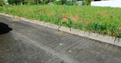 Lot for Sale in Spring Country, Filinvest 2, Batasan Hills, Quezon City