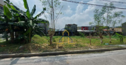 Vacant Lots for Sale in Greenview Executive Village, Quezon City