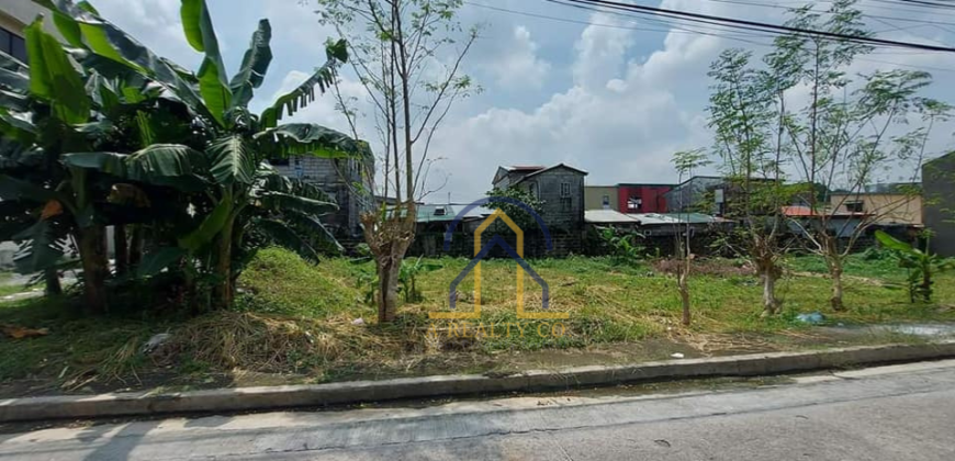 Vacant Lots for Sale in Greenview Executive Village, Quezon City