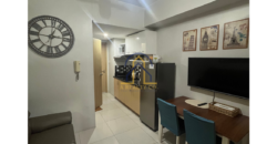 RFO 1 Bedroom Condo Unit for Sale in Grass Residences, Quezon City