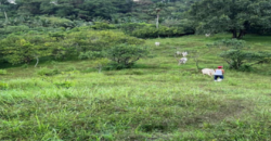 Farm Lot for Sale along Marcos Marilaque Highway Pinagsabiran, Sampaloc, Tanay, Rizal