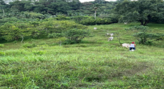 Farm Lot for Sale along Marcos Marilaque Highway Pinagsabiran, Sampaloc, Tanay, Rizal