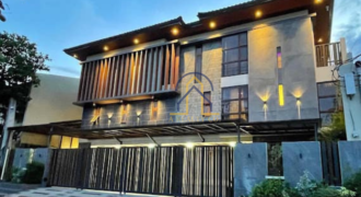 Brand New House and Lot for Sale in Multinational Village, Paranaque City