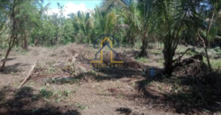 Agricultural Lot for Sale in Brgy. Reserva, Baler, Aurora