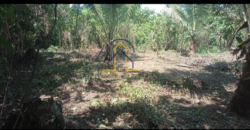 Agricultural Lot for Sale in Brgy. Reserva, Baler, Aurora