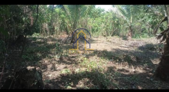 Agricultural Lot for Sale in Brgy. Reserva, Baler, Aurora