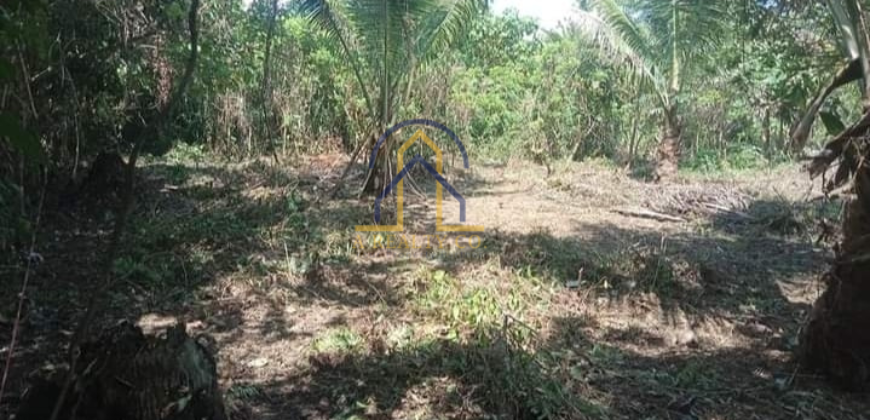 Agricultural Lot for Sale in Brgy. Reserva, Baler, Aurora