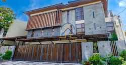 Brand New House and Lot for Sale in Multinational Village, Paranaque City