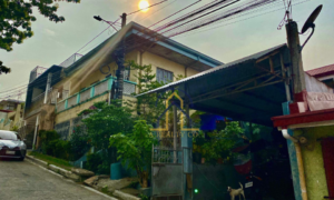 House and Lot for Sale in Valley View Executive Village, Cainta, Rizal