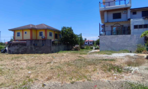 Lot for Sale in Pallas Athena Classique Executive Subdivision, Imus, Cavite