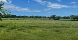 Farm Lot for Sale in Botolan, Zambales