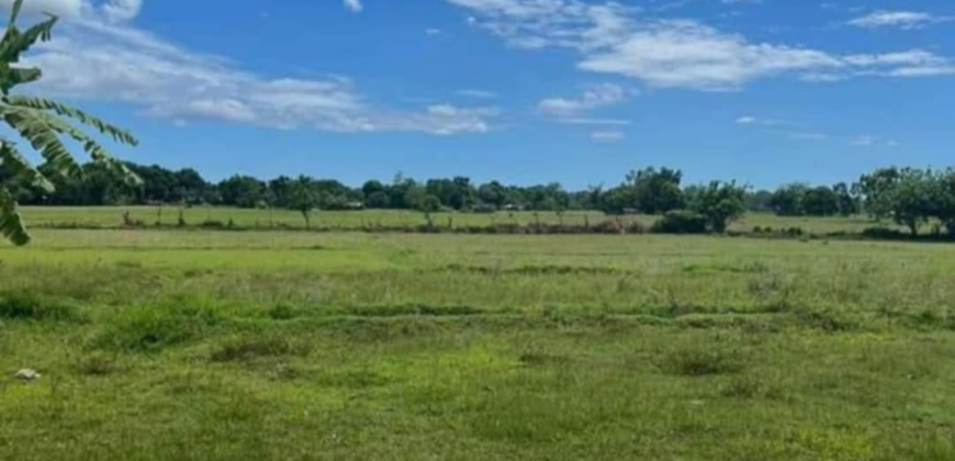 Farm Lot for Sale in Botolan, Zambales