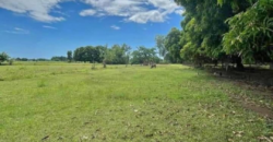 Farm Lot for Sale in Botolan, Zambales