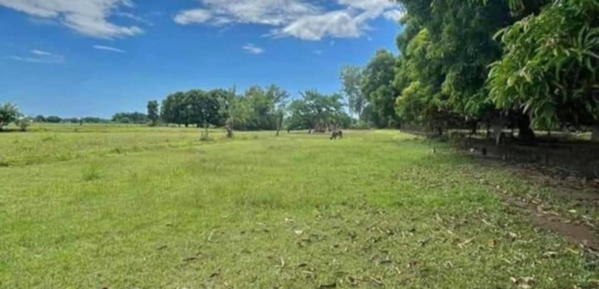 Farm Lot for Sale in Botolan, Zambales