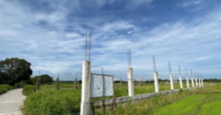 1 Hectare Farm Lot For Sale in Magalang, Pampanga