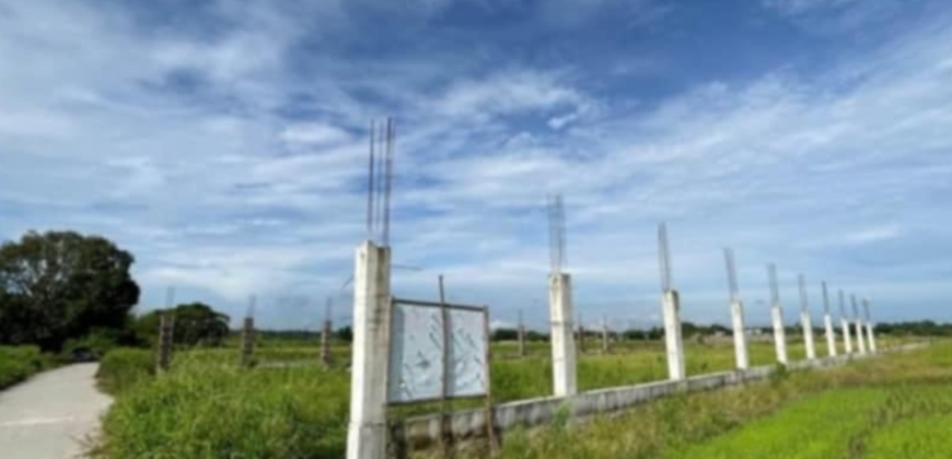 1 Hectare Farm Lot For Sale in Magalang, Pampanga