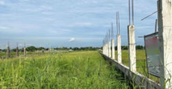 1 Hectare Farm Lot For Sale in Magalang, Pampanga