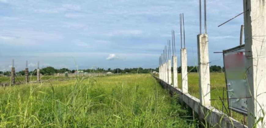 1 Hectare Farm Lot For Sale in Magalang, Pampanga