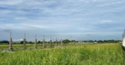 1 Hectare Farm Lot For Sale in Magalang, Pampanga