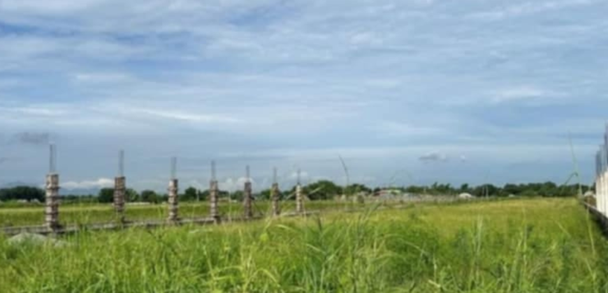 1 Hectare Farm Lot For Sale in Magalang, Pampanga