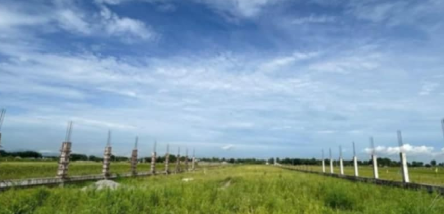 1 Hectare Farm Lot For Sale in Magalang, Pampanga