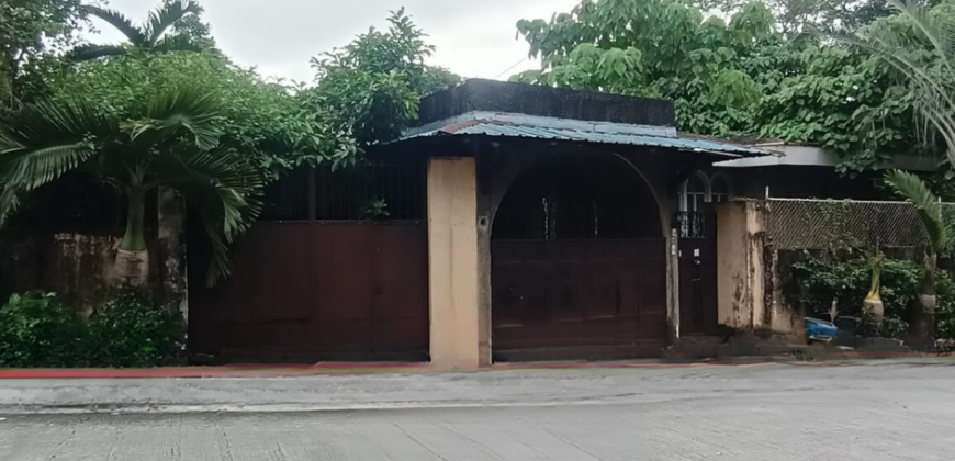 Corner lot with Old house For Sale in East Fairview, Quezon City